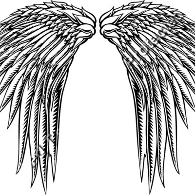 ES2wings014bw Thumbnail