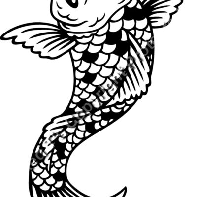 ES2asiankoi007BW Thumbnail