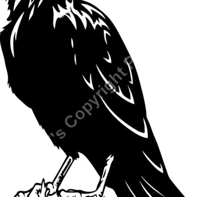ES2raven003bw Thumbnail