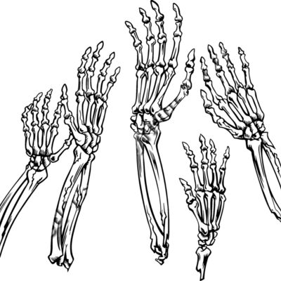 ES2bones001bw Thumbnail