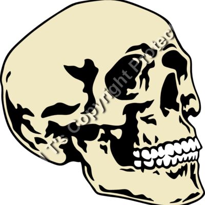ES2skull016CLR Thumbnail