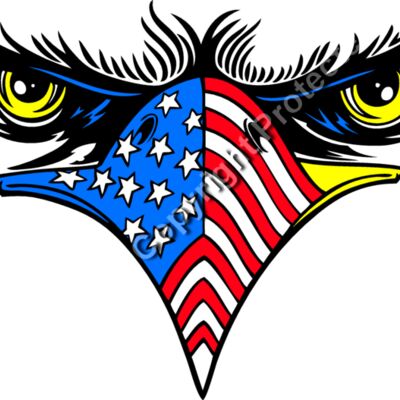 ES2patriotic006clr Thumbnail