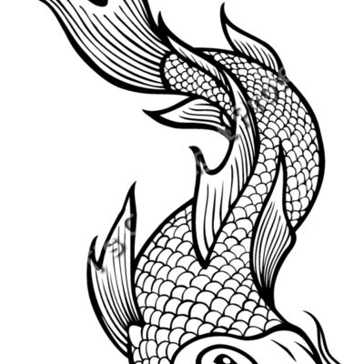 ES2asiankoi002bw Thumbnail