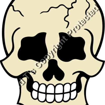 ES2skull012CLR Thumbnail