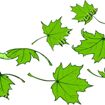 ES2leaves001clr Thumbnail