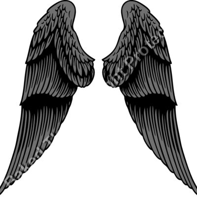 ES2wings031CLR Thumbnail