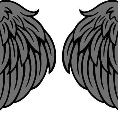 ES2wings020CLR Thumbnail