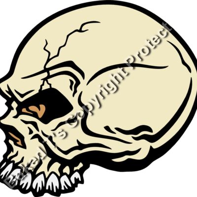 ES2skull032CLR Thumbnail