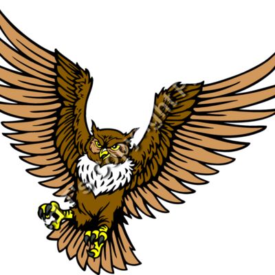 ES2owl001CLR Thumbnail