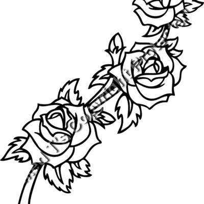 ES2rose004BW Thumbnail