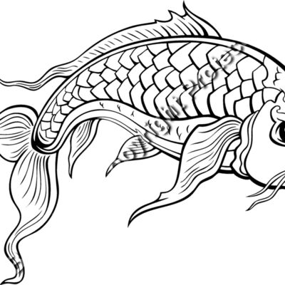 ES2asiankoi008BW Thumbnail