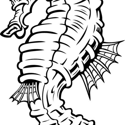 ES2seahorse001BW Thumbnail