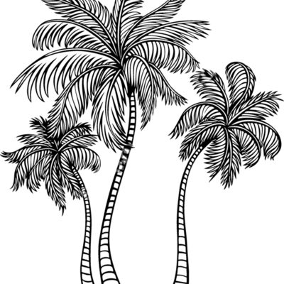 ES2tree002bw Thumbnail