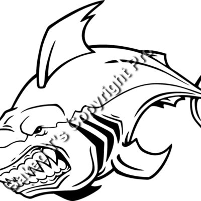 ES2shark002BW Thumbnail