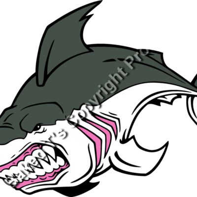 ES2shark002CLR Thumbnail