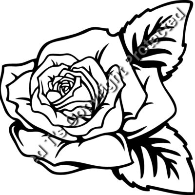 ES2rose002BW Thumbnail