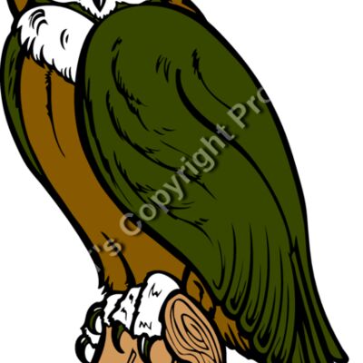 ES2owl002clr Thumbnail