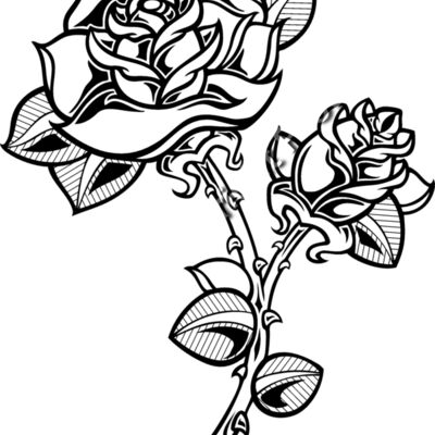 ES2rose003bw Thumbnail