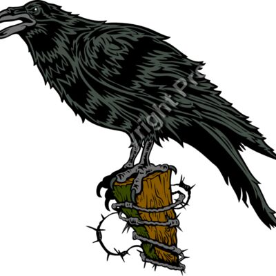 ES2raven001clr Thumbnail