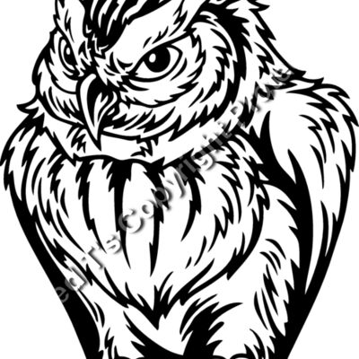 ES2owl003BW Thumbnail