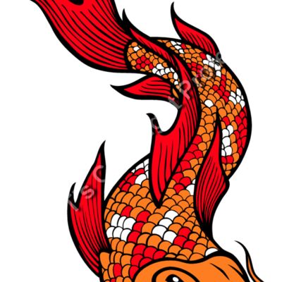 ES2asiankoi002CLR Thumbnail