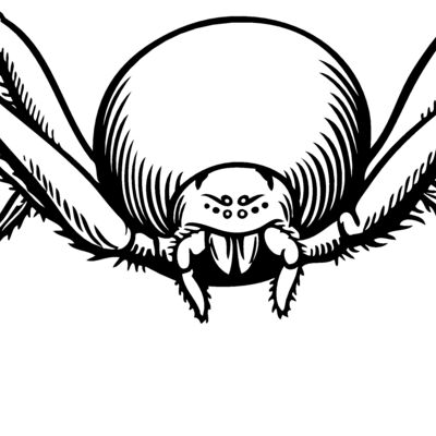 ES2spider007bw Thumbnail