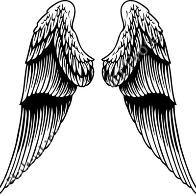 ES2wings031BW Thumbnail