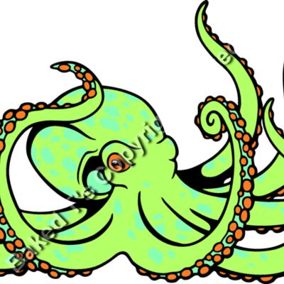 ES2octopus001CLR Thumbnail