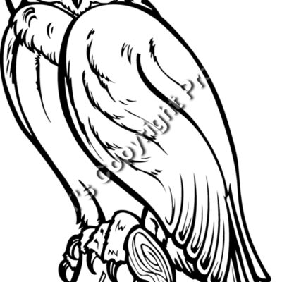 ES2owl002bw Thumbnail