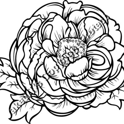 ES2flower002bw Thumbnail