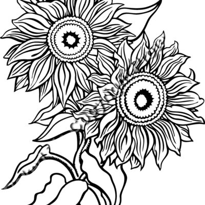 ES2flower006bw Thumbnail