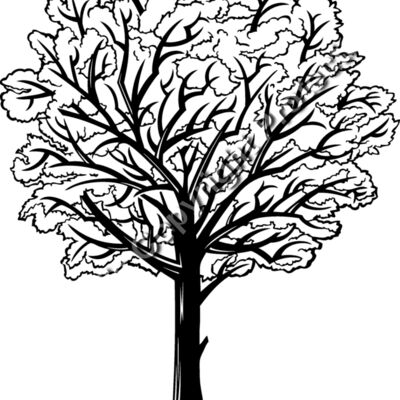 ES2tree005bw Thumbnail