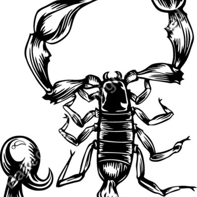 ES2scorpion001bw Thumbnail