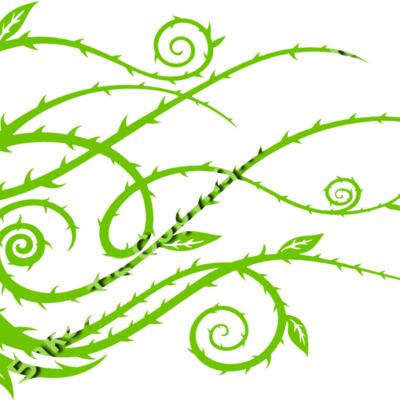 ES2thorns008clr Thumbnail