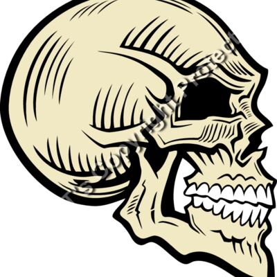 ES2skull025clr Thumbnail