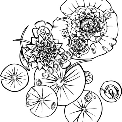 ES2flower004bw Thumbnail