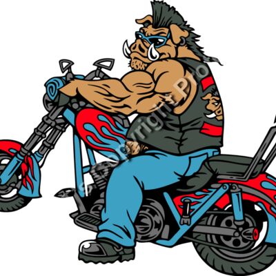 ES2hog004CLR Thumbnail