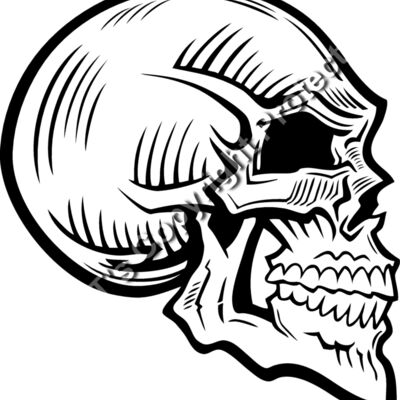 ES2skull025BW Thumbnail