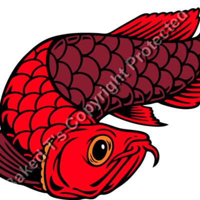 ES2arowana001CLR Thumbnail