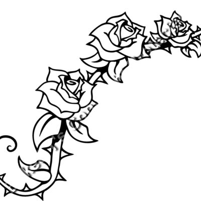 ES2rose005BW Thumbnail