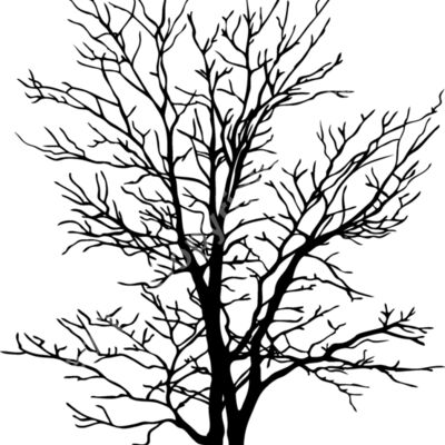 ES2tree007bw Thumbnail