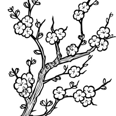 ES2cherryblsm001bw Thumbnail