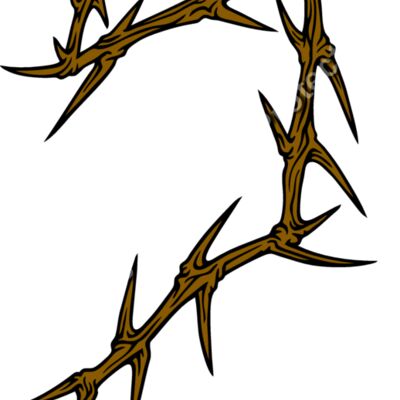 ES2thorns006CLR Thumbnail