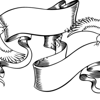 ES2dove002bw Thumbnail