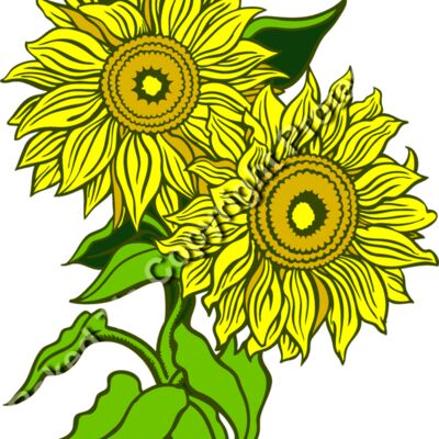 ES2flower006clr Thumbnail