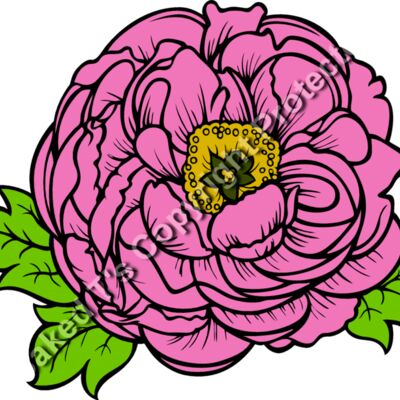 ES2flower002clr Thumbnail