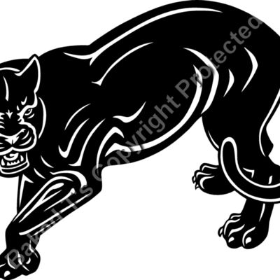 ES2panther005bw Thumbnail