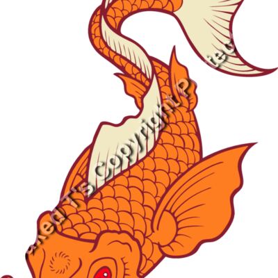 ES2asiankoi006clr Thumbnail