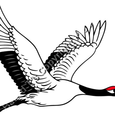 ES2crane001CLR Thumbnail