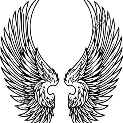 ES2wings030BW Thumbnail